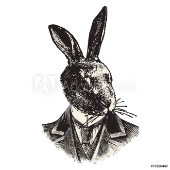 Picture of Monsieur Lapin